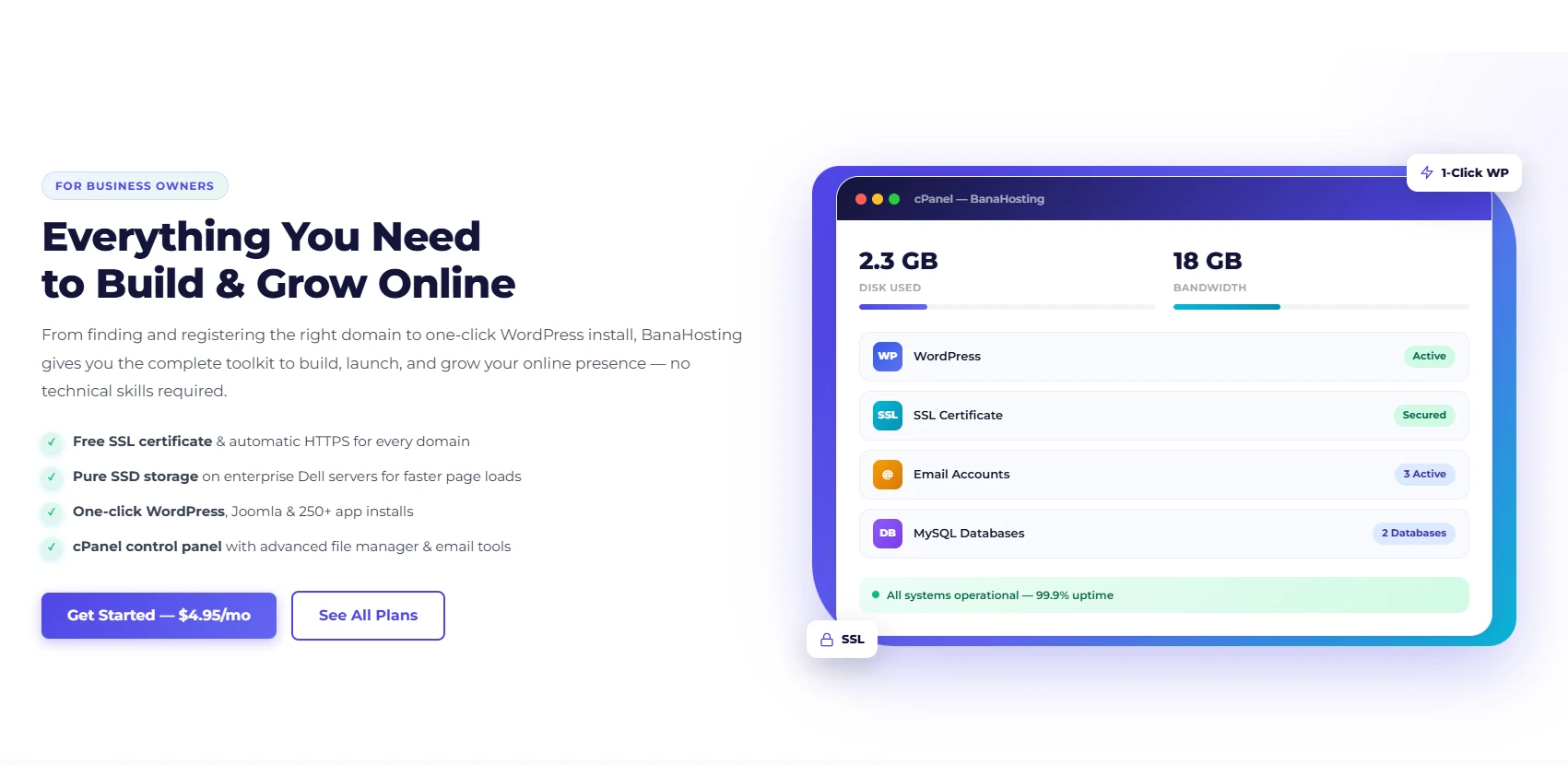 BanaHosting cPanel Dashboard & Web Hosting Management