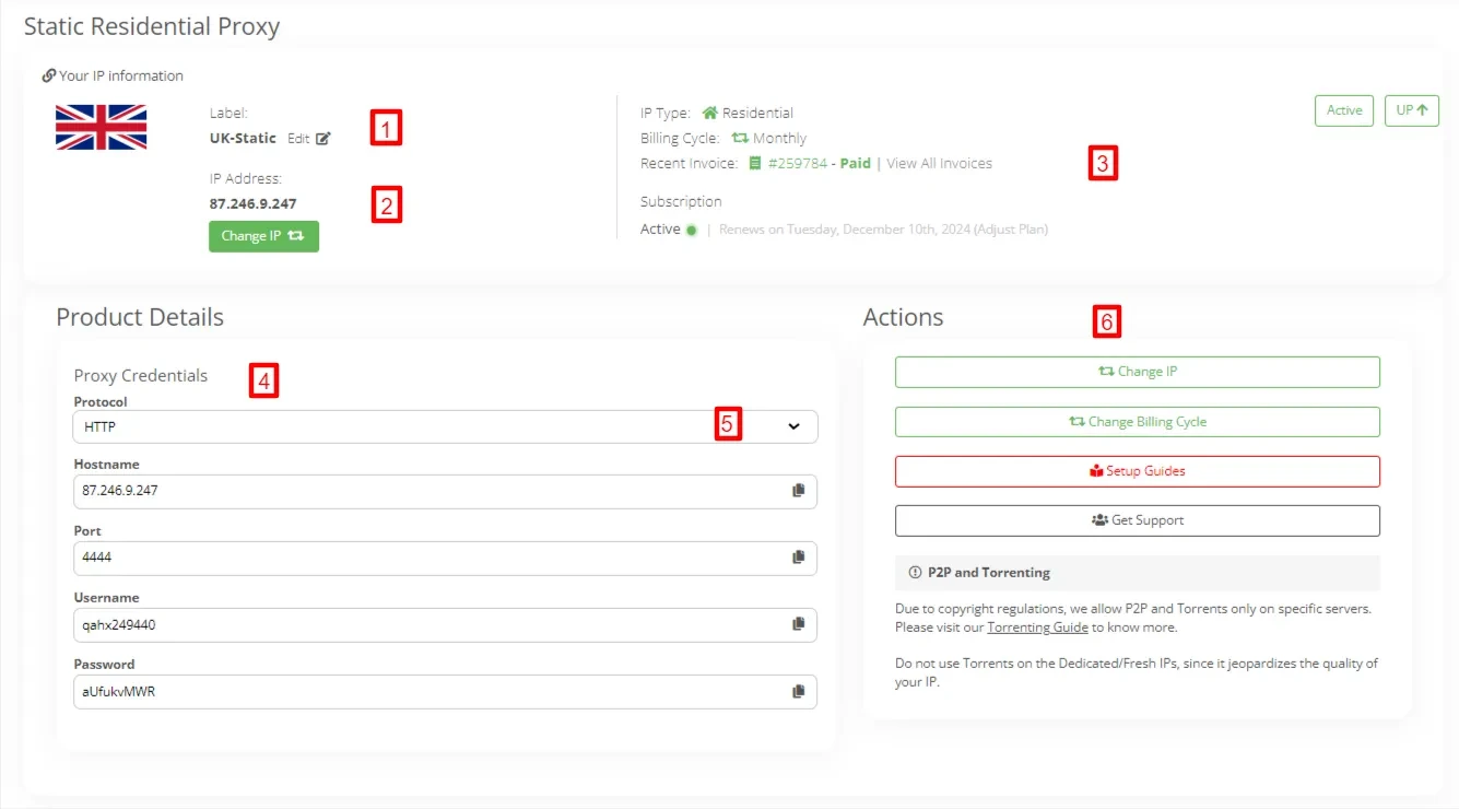 IPBurger Proxy Management Dashboard & Dedicated IP Selector