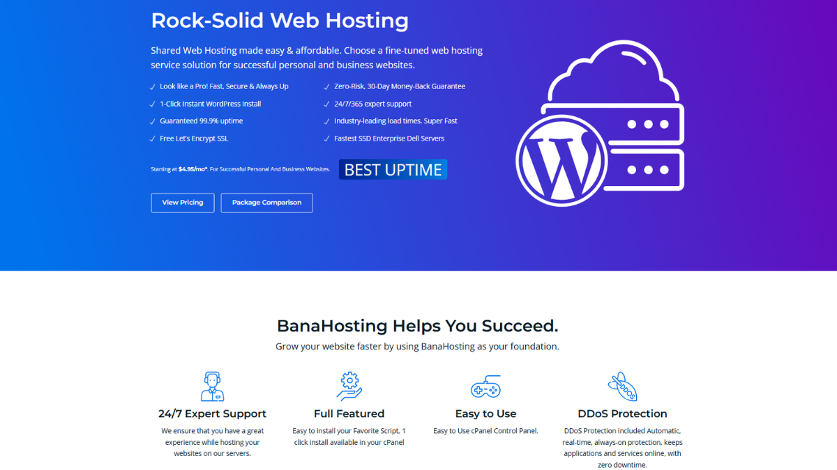 What Is BanaHosting ?